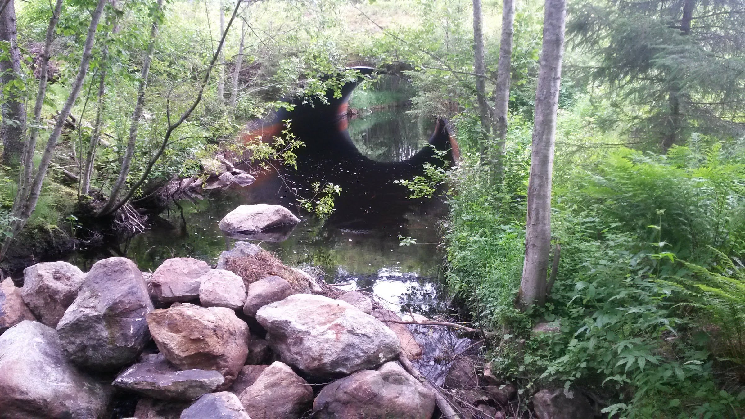 Handfishing / Kézi halfogás (Rahajoki)